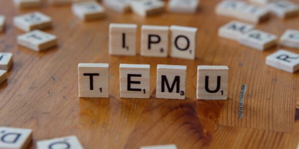 Vivekanand Cotspin IPO allotment