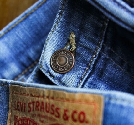 Levi Strauss earnings